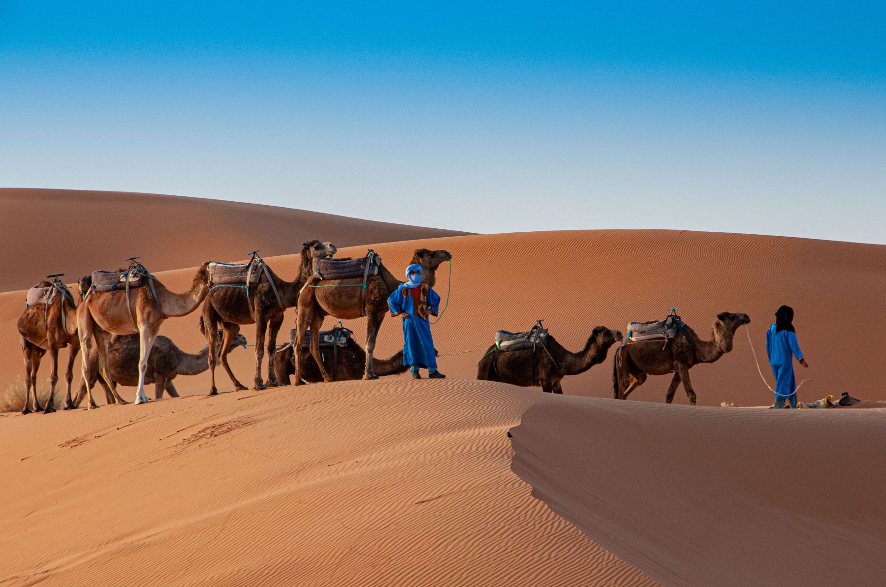 First-Time Morocco Itinerary: What to Prioritize 1 Camel trekking across the Erg Chebbi dunes in Merzouga during a one week in Morocco trip