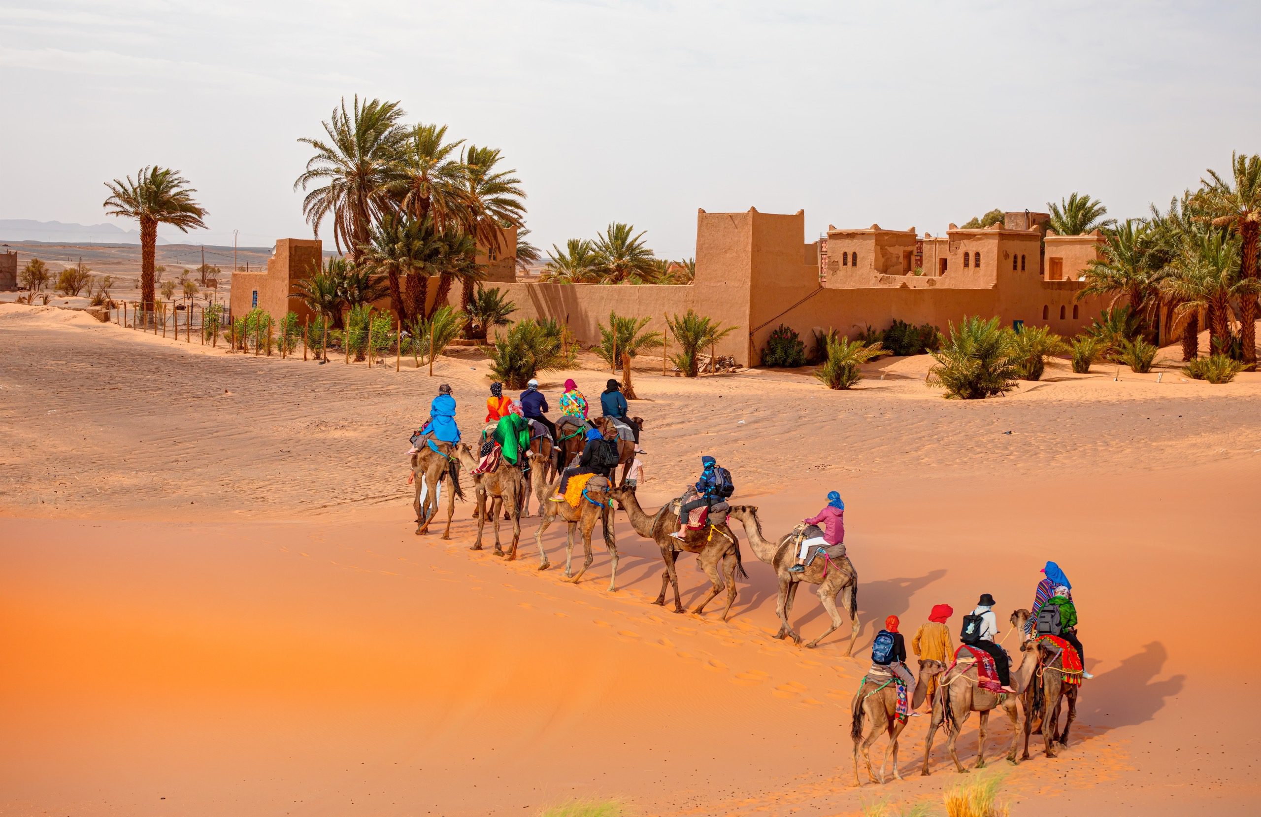 Merzouga vs Zagora: Which Desert Trip Is Right for You? 2 Camel trekking in Merzouga Erg Chebbi dunes during sunset Morocco