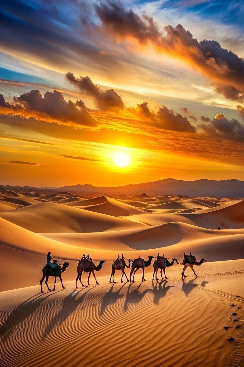 Tour from Casablanca to Chefchaouen, Volubilis & Fes (3)