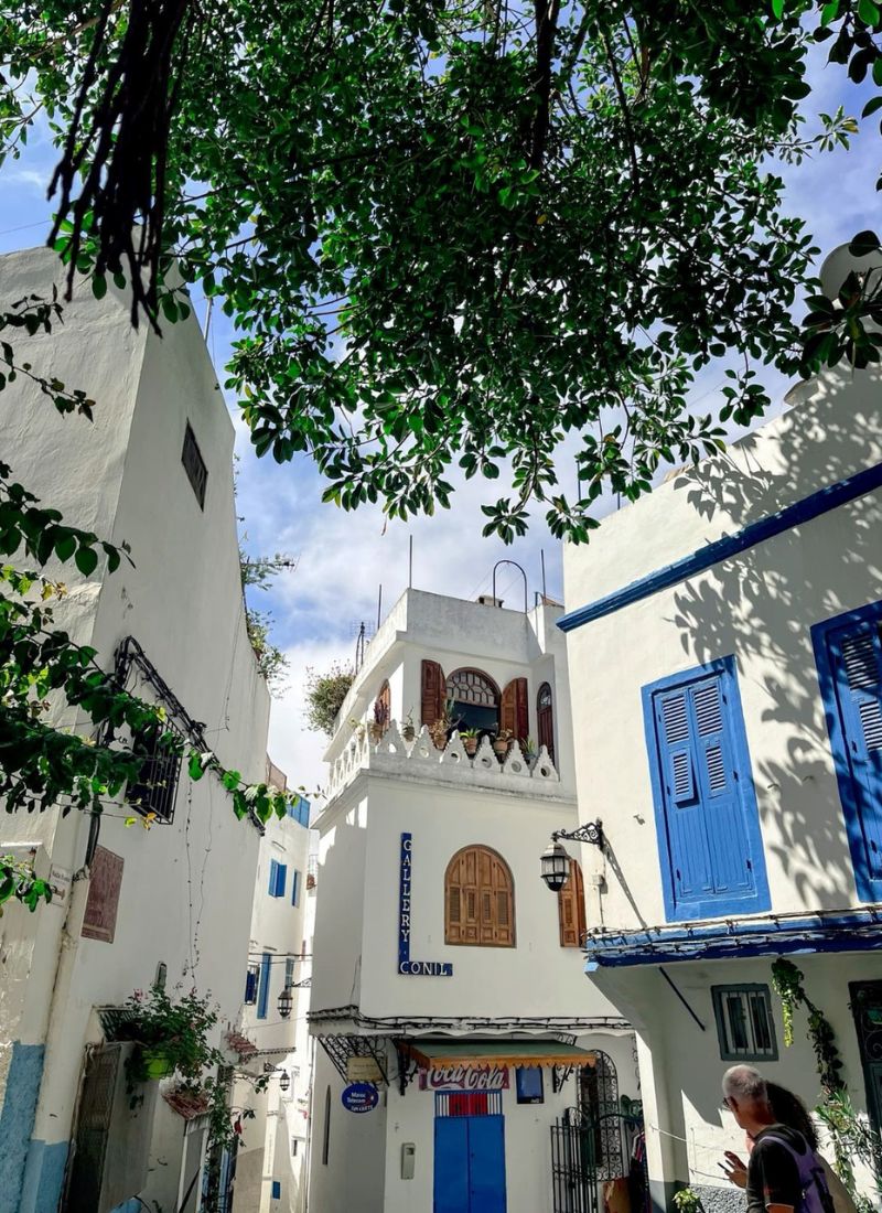 Day Trip from Tangier to Tetouan and Chefchaouen (4)